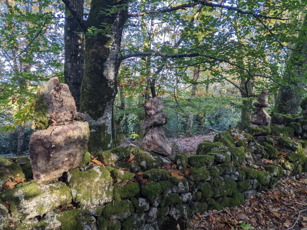 Chez Elle Daire Rancon Dış mekan fotoğraf